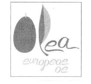 Imagen de OLEA EUROPEAE OE