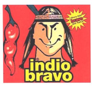 Imagen de INDIO BRAVO