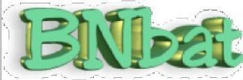 Imagen de BNBAT