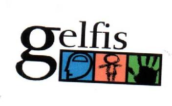 Imagen de GELFIS
