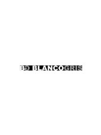 Imagen de BLANCO GRIS