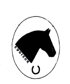 Imagen de EQUISUR