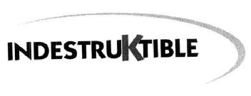 Imagen de INDESTRUKTIBLE