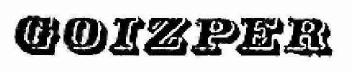 Imagen de GOIZPER