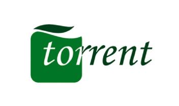 Imagen de TORRENT