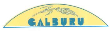Imagen de GALBURU