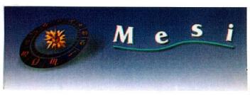 Imagen de MESI