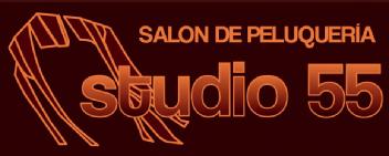 Imagen de SALON DE PELUQUERIA STUDIO 55