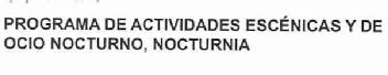 Imagen de PROGRAMA DE ACTIVIDADES ESCENICAS Y DE OCIO NOCTURNO, NOCTURNA