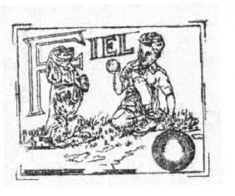 Imagen de FIEL