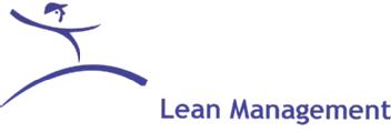 Imagen de LEAN MANAGEMENT