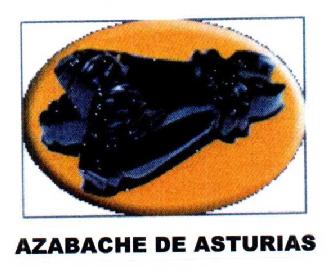 Imagen de AZABACHE DE ASTURIAS