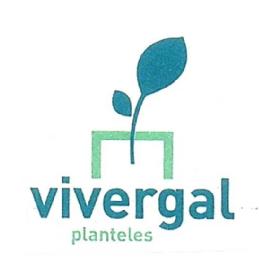 Imagen de VIVERGAL PLANTELES
