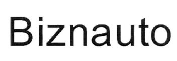 Imagen de BIZNAUTO