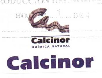Imagen de CALCINOR QUIMICA NATURAL CALCINOR