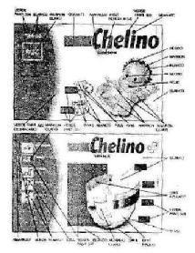 Imagen de CHELINO UNISEX
