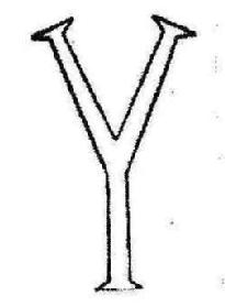 Imagen de Y