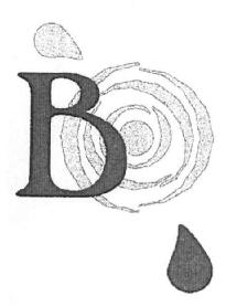 Imagen de B