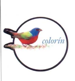 Imagen de COLORIN