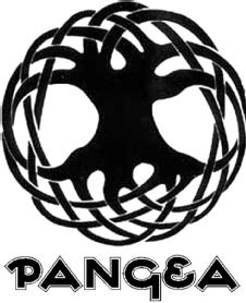 Imagen de PANGEA