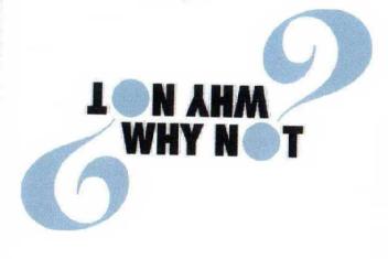 Imagen de WHY NOT