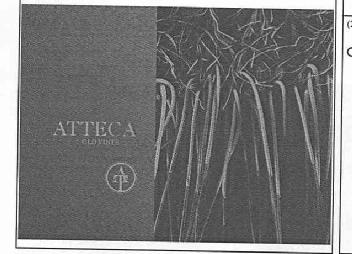 Imagen de ATTECA