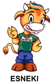 Imagen de SNK ESNEKI