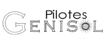 Imagen de PILOTES GENISOL