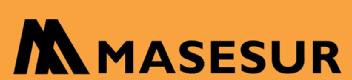 Imagen de MASESUR