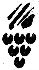 Imagen de M1126250