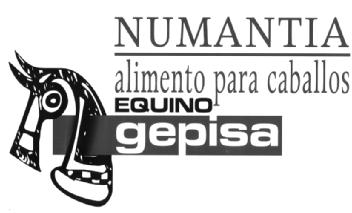 Imagen de NUMANTIA ALIMENTO PARA CABALLOS EQUINO GEPISA