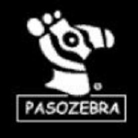 Imagen de PASOZEBRA