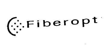 Imagen de FIBEROPT