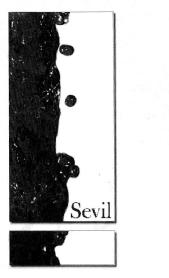 Imagen de SEVIL