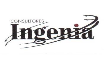 Imagen de CONSULTORES INGENIA