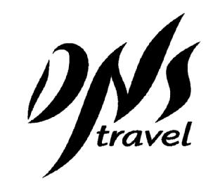 Imagen de DNS TRAVEL