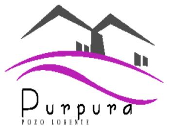 Imagen de PURPURA POZO LORENTE