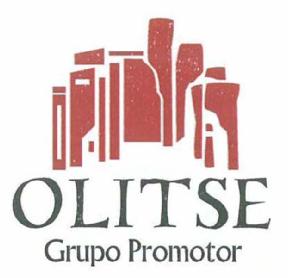 Imagen de OLITSE GRUPO PROMOTOR