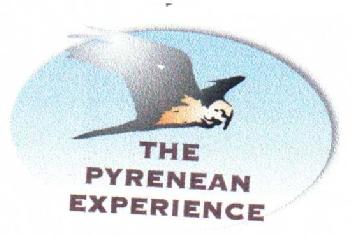 Imagen de THE PYRENEAN EXPERIENCE