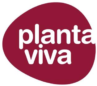 Imagen de PLANTA VIVA