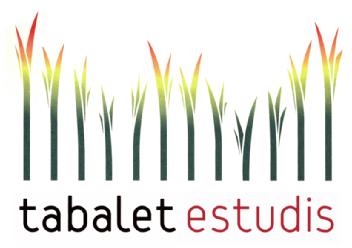 Imagen de TABALET ESTUDIS