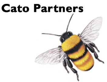 Imagen de CATO PARTNERS