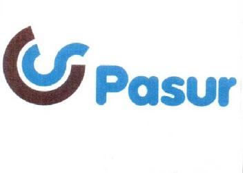 Imagen de PASUR