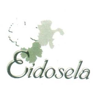 Imagen de EIDOSELA
