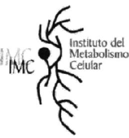 Imagen de IMC INSTITUTO DEL METABOLISMO CELULAR