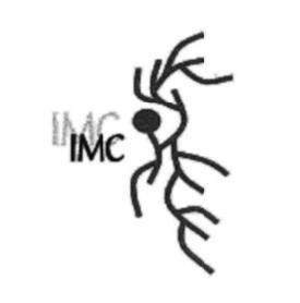 Imagen de IMC