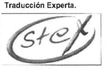 Imagen de TRADUCCION EXPERTA STEX