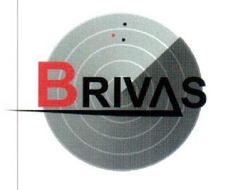 Imagen de BRIVAS