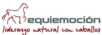 Imagen de EQUIEMOCION LIDERAZGO NATURAL CON CABALLOS