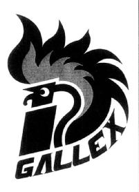 Imagen de GALLEX